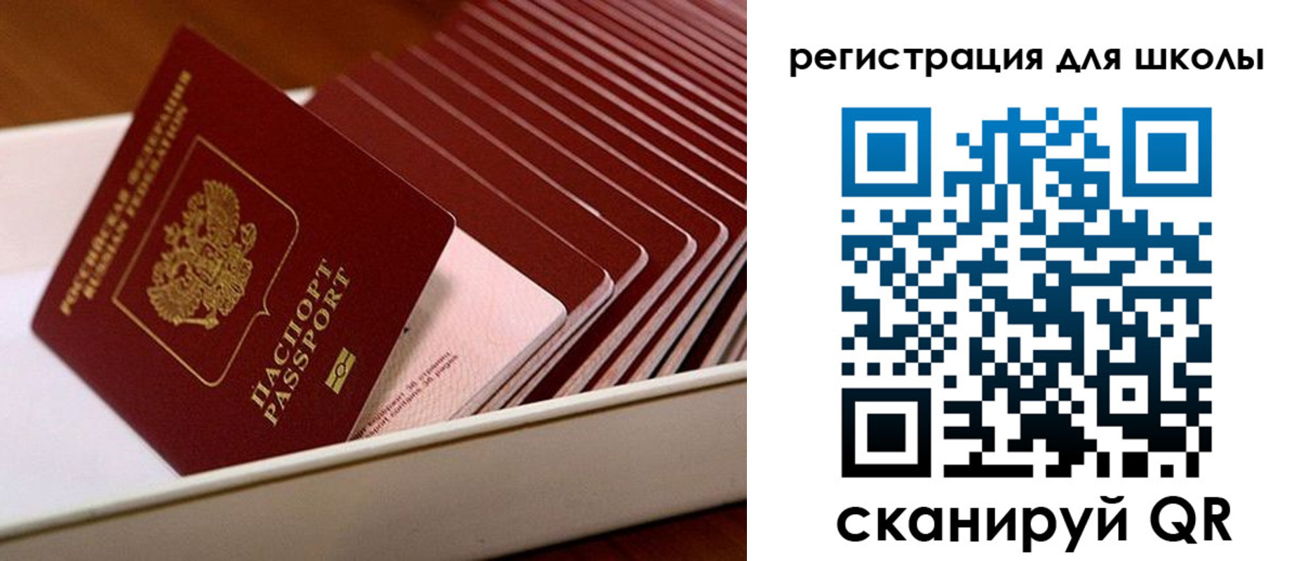 прописка гарантия в Полярных Зорях